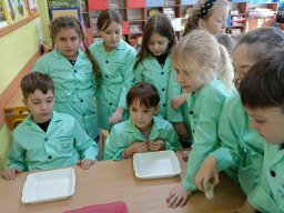 b_1024_768_0_00_images_2023_2024_Chmurka_Warsztaty_EKOSKOP_402612237_805928414668442_3837858962889471785_n